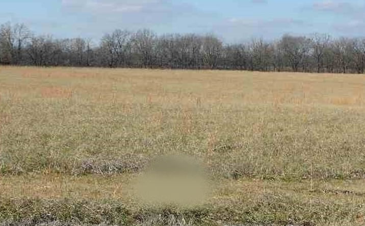 Pictures of Land property located at 00 Ferren Road, Ledbetter, KY 42058 for sales - image #1
