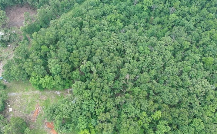 Pictures of Land property located at Mo-V Highway, Edwards, MO 65326 for sales - image #1
