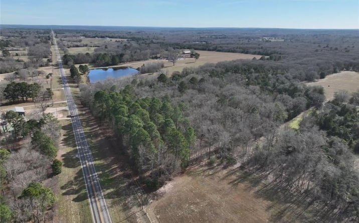 Pictures of Land property located at TBD State Highway 154, 128465, TX 75783 for sales - image #1