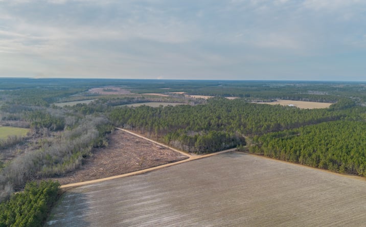 Pictures of Land property located at Reddish Rd, Odum, GA 31555 for sales - image #1
