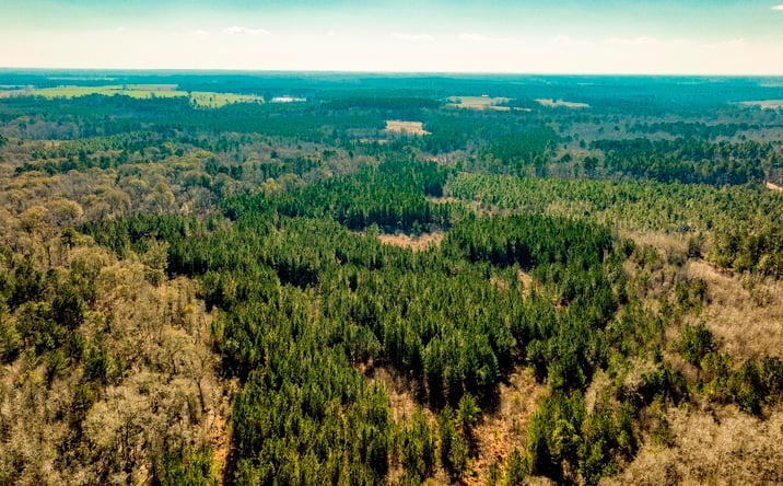 Pictures of Land property located at Crooked Rd, Millen, GA 30442 for sales - image #1