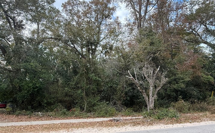 Pictures of Land, Multifamily property located at 880 Carlisle Street, Bamberg, SC 29003 for sales - image #1