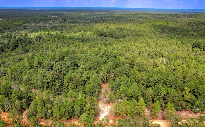 Pictures of Land property located at -001a Centerwood Road, Williston, SC 29853 for sales - image #1