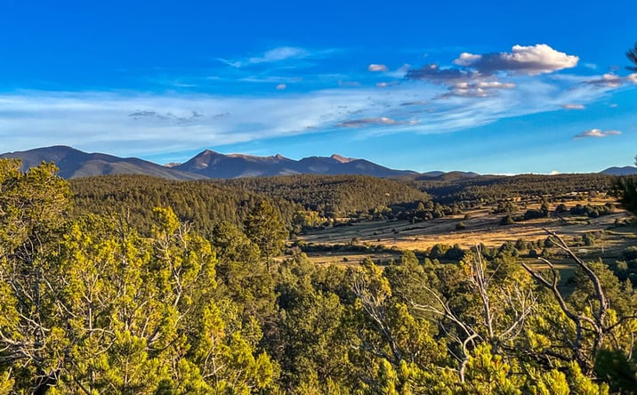 Pictures of Land property located at TBD, Chamisal, USA 87553 for sales - image #1