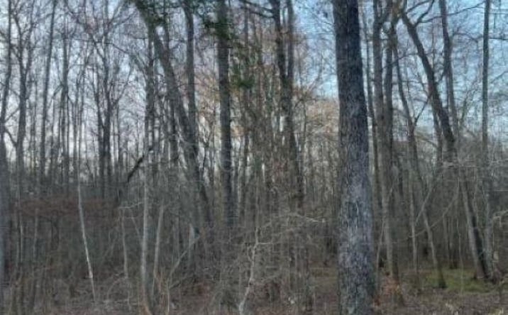 Pictures of Land property located at TBD State Highway 135, Troup, TX 75789 for sales - image #1