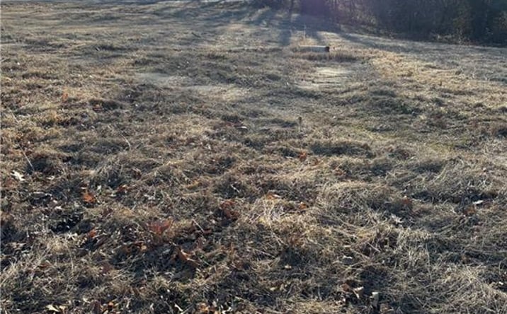 Pictures of Land, Multifamily property located at 209 Hightower Street, El Dorado Springs, MO 64744 for sales - image #1