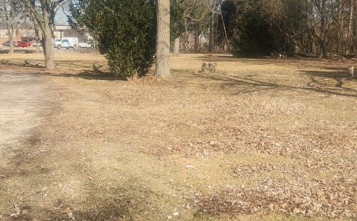 Pictures of Land property located at 131 Oak Knoll Drive, Hampshire, IL 60140 for sales - image #1