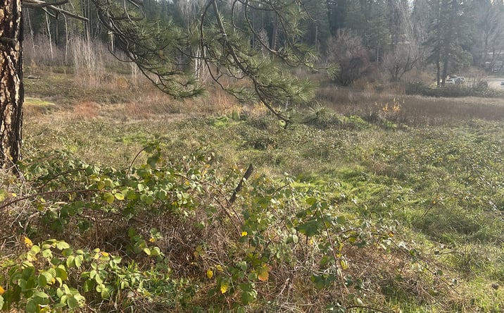 Pictures of Land property located at 0 Adams Lane Street, Grass Valley, CA 95945 for sales - image #1
