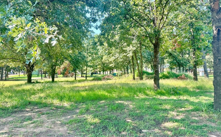 Pictures of Land property located at 12095 Rhynes Circle, Kingston, OK 73439 for sales - image #1