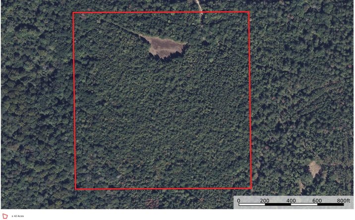Pictures of Land property located at Perryville Rd, Monroeville, AL, AL 36460 for sales - image #1