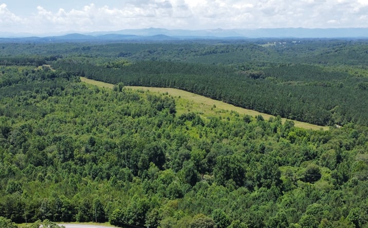 Pictures of Land property located at 1169 Lenhardt Rd, Easley, SC 29640 for sales - image #1