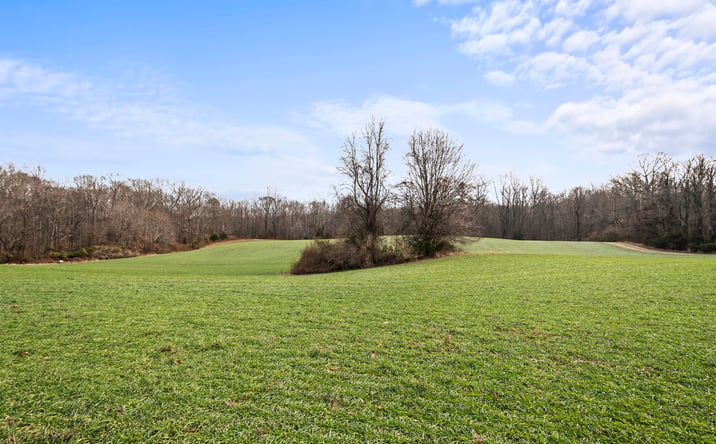 Pictures of Land property located at 7389 Leeds Manor Rd, Marshall, VA 20115 for sales - image #1