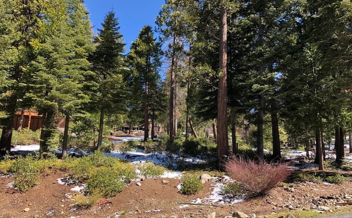 Pictures of Land property located at 42518 Tourmaline Ln, Shaver Lake, CA 93664 for sales - image #1