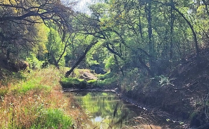 Pictures of Land property located at 5200 Dobbs Valley Rd, Millsap, TX 76066 for sales - image #1