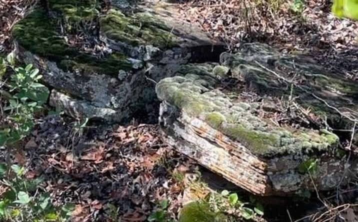 Pictures of Land property located at 0 County Road 136, Breckenridge, TX 76424 for sales - image #1