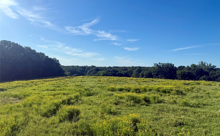 Pictures of Land property located at 29110 S 321st West Avenue, Bristow, OK 74010 for sales - image #1
