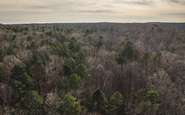 Pictures of Land property located at 10 acres off Highway Y, Grandin, MO 63953 for sales - image #1