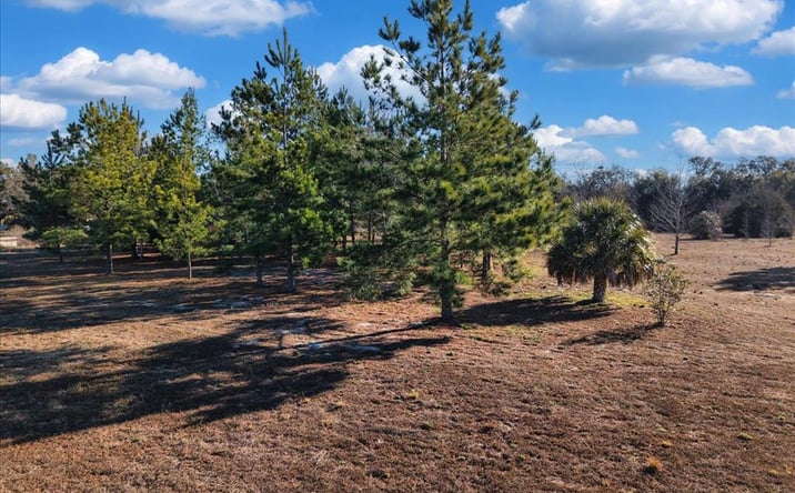 Pictures of Land property located at NW 76th Ave, Chiefland, FL 32626 for sales - image #1
