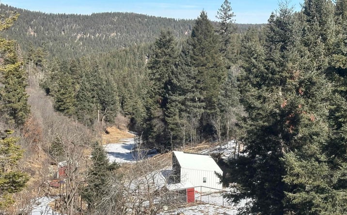 Pictures of Land property located at 146 Clear Nite Road, Cloudcroft, NM 88317 for sales - image #1