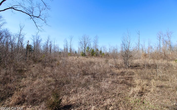 Pictures of Land property located at Shady Hill Road, Lexington, TN 38351 for sales - image #1