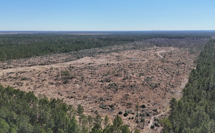 Pictures of Land property located at 3800 Camp Edgewood Rd, Ragley, LA 70657 for sales - image #1
