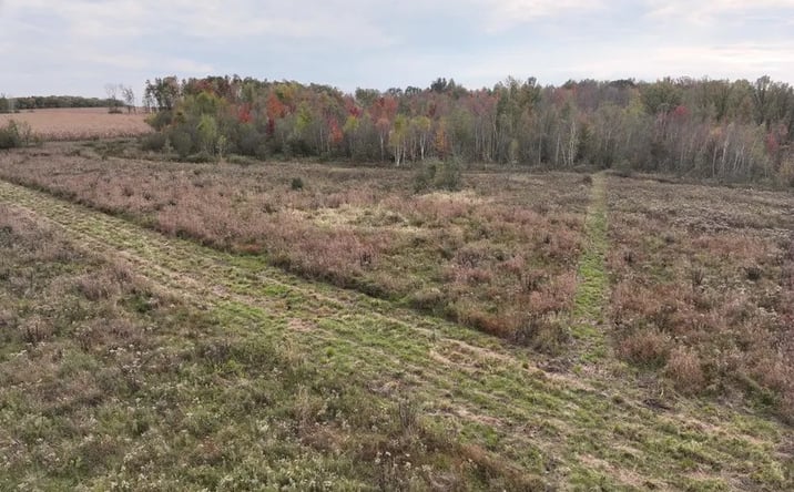 Pictures of Land property located at County Rd O, Greenwood, WI 54437 for sales - image #1