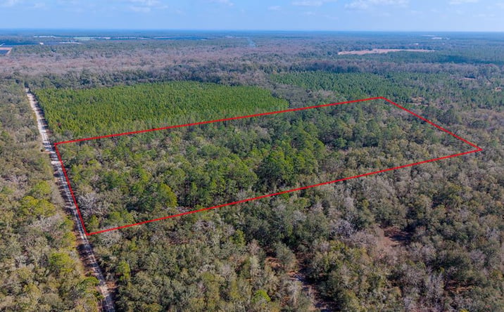 Pictures of Land property located at TBD NE 25th Ave, Branford, FL 32008 for sales - image #1