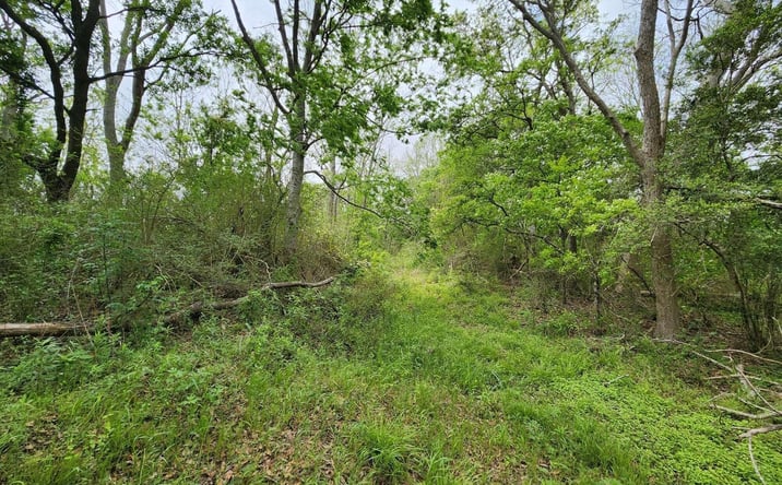 Pictures of Land property located at 14500 Jasmine Road, Kaplan, LA 70548 for sales - image #1