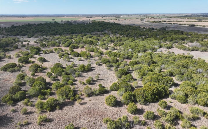 Pictures of Land property located at TBD County Road 129, Hico, TX 76457 for sales - image #1