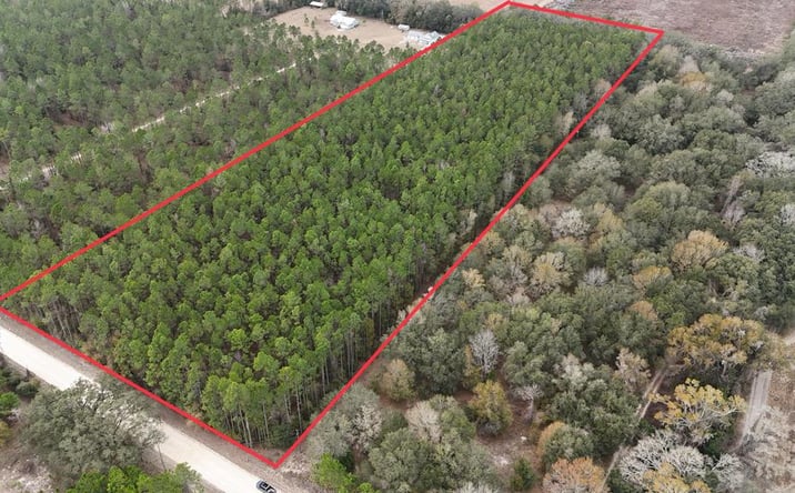 Pictures of Land property located at TBD NE 10th Ave, Trenton, FL 32693 for sales - image #1