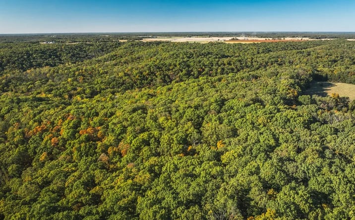 Pictures of Land property located at TBD County Road 4055, Rhineland, MO 65069 for sales - image #1