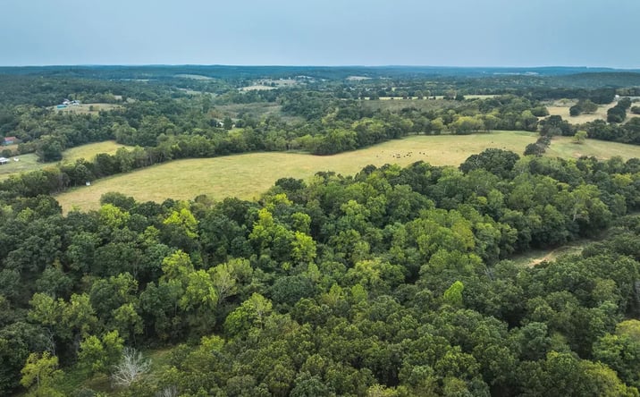 Pictures of Land property located at TBD Highway N-Tract 2, Lebanon, MO 65536 for sales - image #1