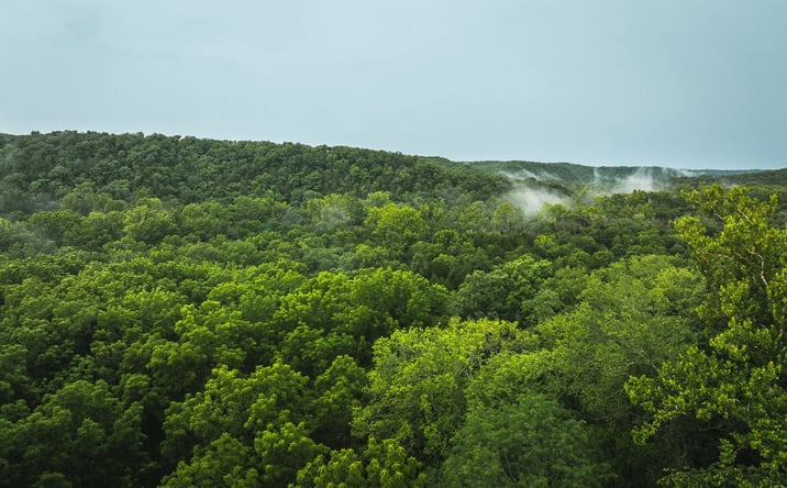 Pictures of Land property located at County Road 7250, Newburg, MO 65550 for sales - image #1
