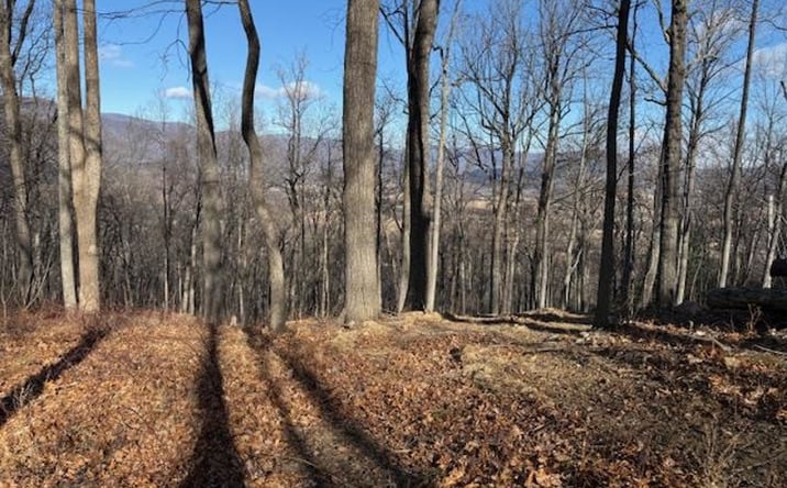 Pictures of Land property located at 1402 Top Ridge Road, Stanardsville, VA 22973 for sales - image #1
