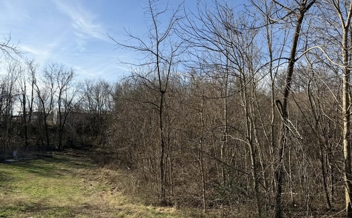 Pictures of Land property located at Shelley St, Albany, KY 42602 for sales - image #1