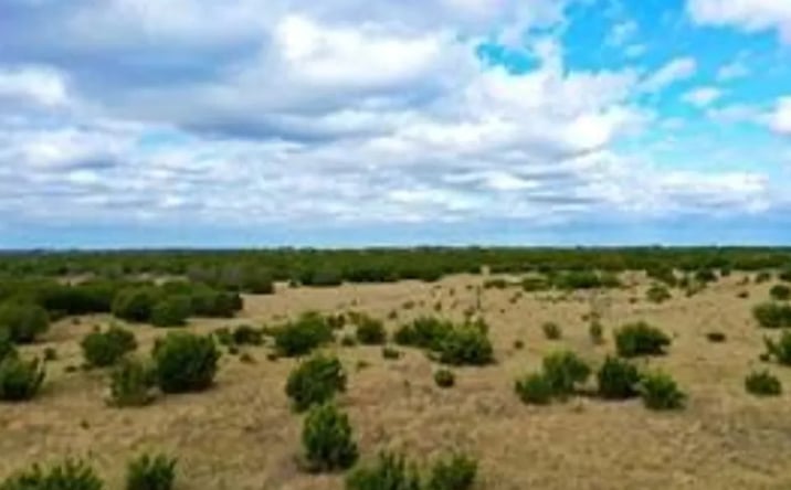 Pictures of Land property located at 1588 County Road 118, Carlton, TX 76436 for sales - image #1