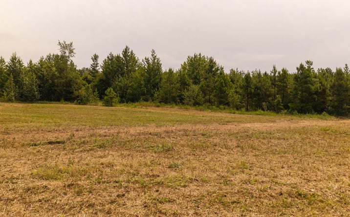 Pictures of Land property located at 0 Cannaday Flat Road, Hector, AR 72843 for sales - image #1