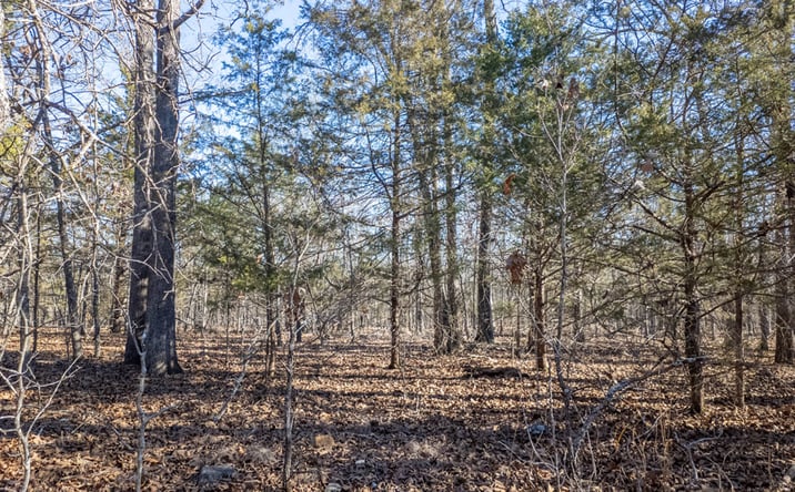 Pictures of Land property located at 000 Tuska Drive, Ash Flat, AR 72513 for sales - image #1
