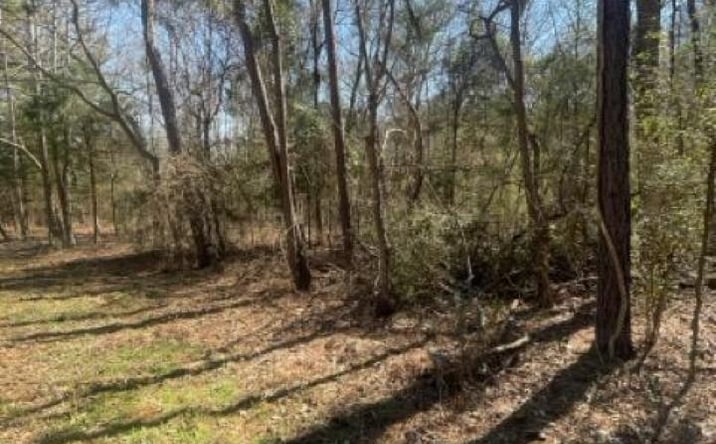 Pictures of Land property located at 214 Forest, Bullard, TX 75757 for sales - image #1