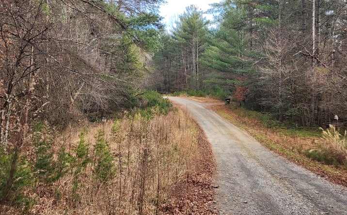 Pictures of Land property located at Lot #14 Rainbow Trout Dr, Hays, CT 28635 for sales - image #1