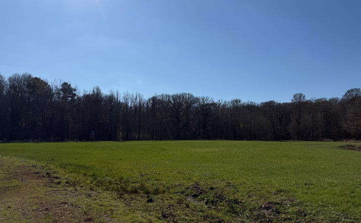 Pictures of Land property located at 114 HUFF LANE, ROXIE, MS, ROXIE, MS 39661 for sales - image #1