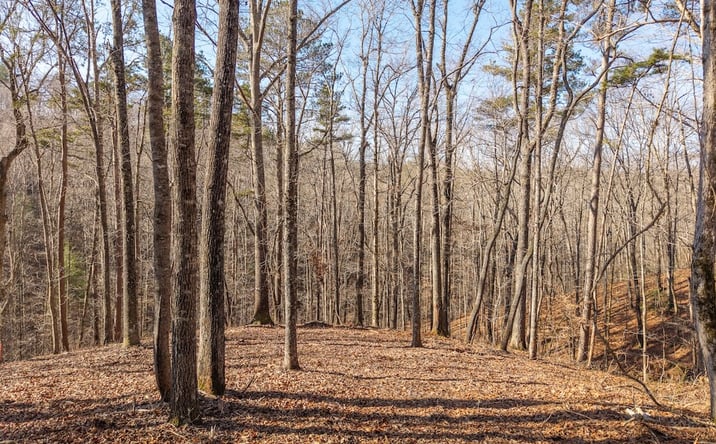 Pictures of Land property located at 1884 Finale St, Talkinbg Rock, GA 30175 for sales - image #1