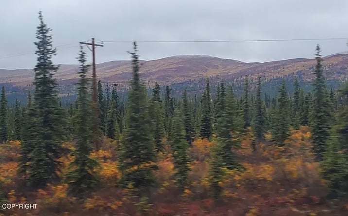 Pictures of Land property located at Mi 162 Glenn Highway, Glennallen, AK 99588 for sales - image #1