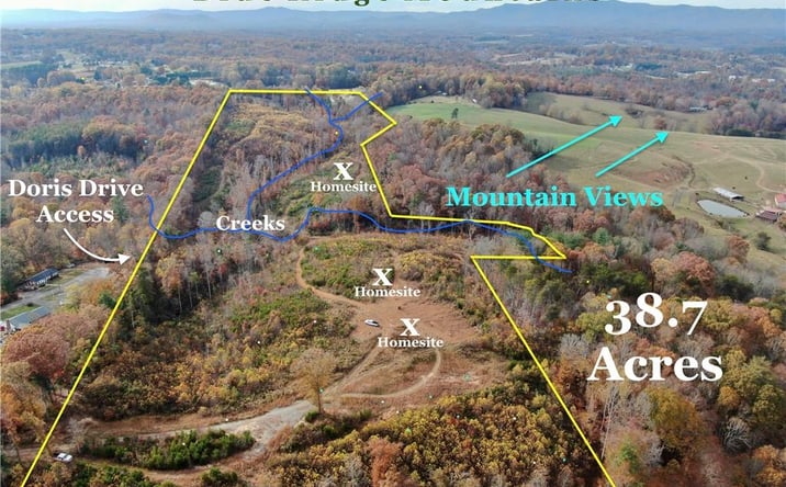 Pictures of Land property located at TBD Doris Avenue 38.7 Acres, Mount Airy, NC 27030 for sales - image #1