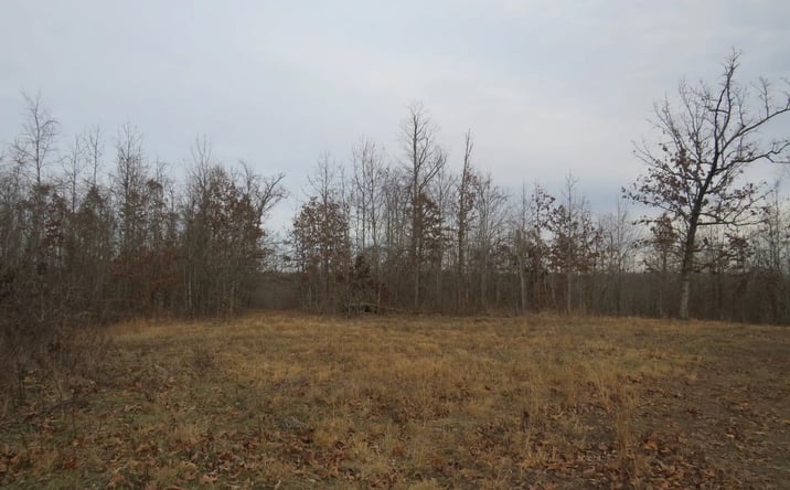Pictures of Land property located at County Road 422, Ellington, MO 63638 for sales - image #1