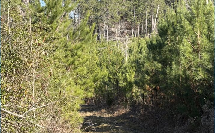 Pictures of Land property located at Delancey Road, 69640, MS 39044 for sales - image #1