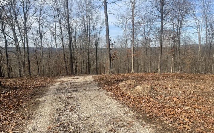 Pictures of Land property located at Highway W, Poplar Bluff, MO 63901 for sales - image #1