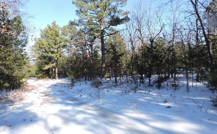 Pictures of Land property located at TBD GREEN NEEDLES RD, Mansfield, AR 72944 for sales - image #1