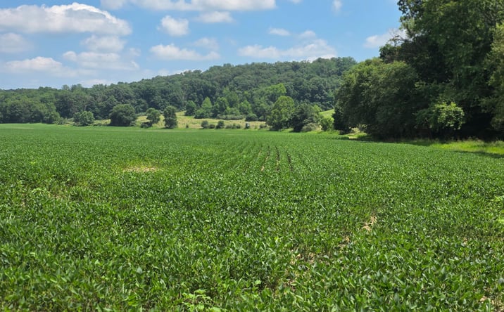 Pictures of Land property located at 291.68 +/- Acres, Nashville, IN 47448 for sales - image #1