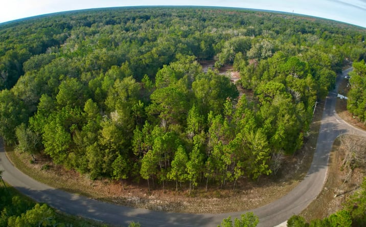 Pictures of Land property located at TBD Bay Court Pass, Ocklawaha, FL 32179 for sales - image #1